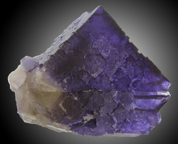 Deep Purple Fluorite Crystals - Múzquiz, Mexico #30393